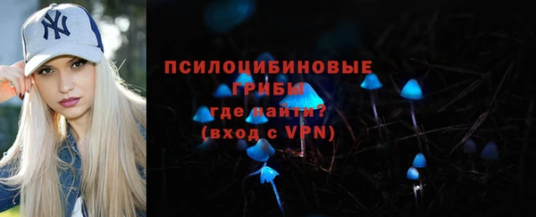 винт Богородицк