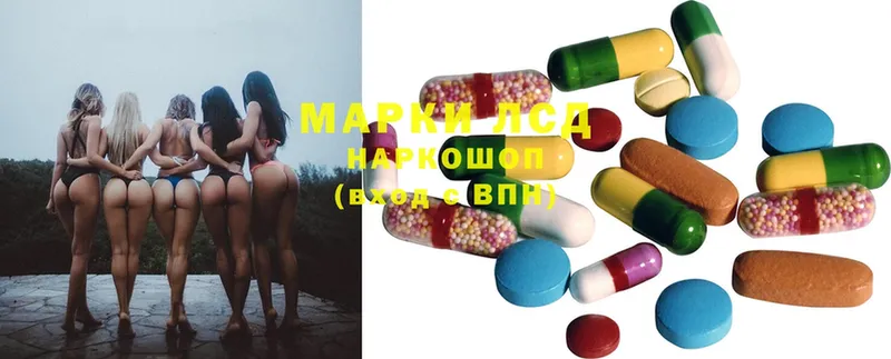 Лсд 25 экстази ecstasy  Верхотурье 